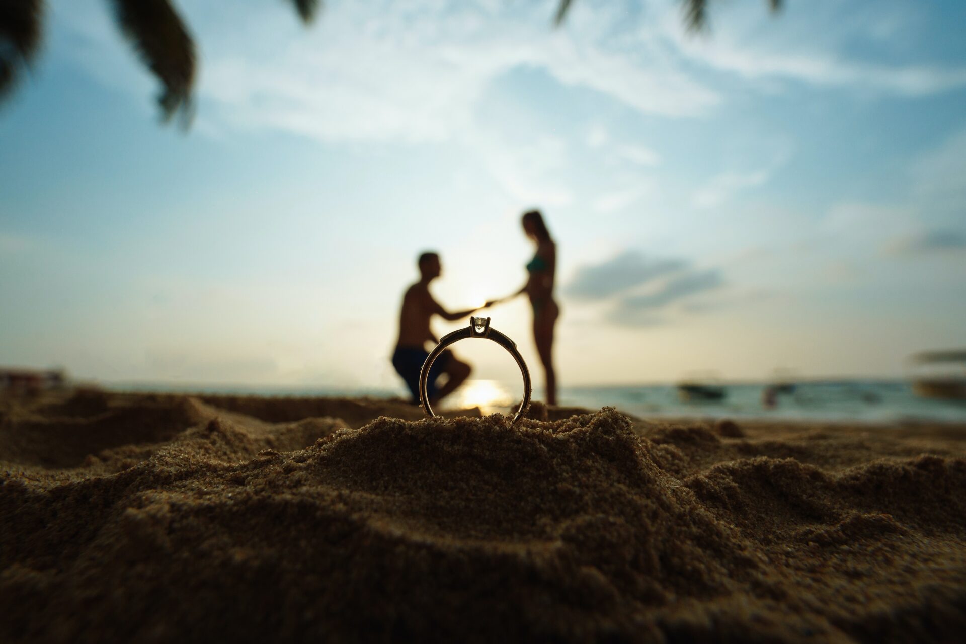 proposal